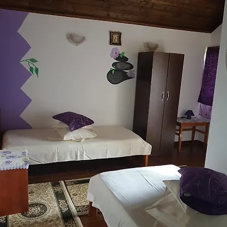 Valea Argesului Guest house *